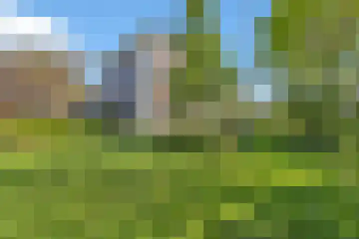 Heerenweg 57 12 Barsingerhorn thumbnail 33