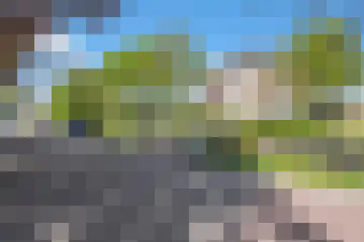 Heerenweg 57 12 Barsingerhorn thumbnail 5