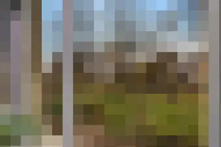 Heerenweg 57 13 Barsingerhorn thumbnail 12