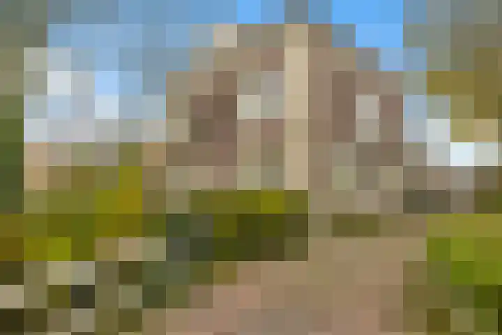 Heerenweg 57 13 Barsingerhorn thumbnail 5