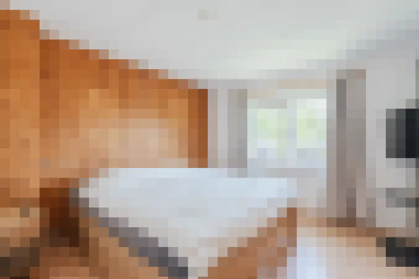 Heerenweg 59 Barsingerhorn thumbnail 35