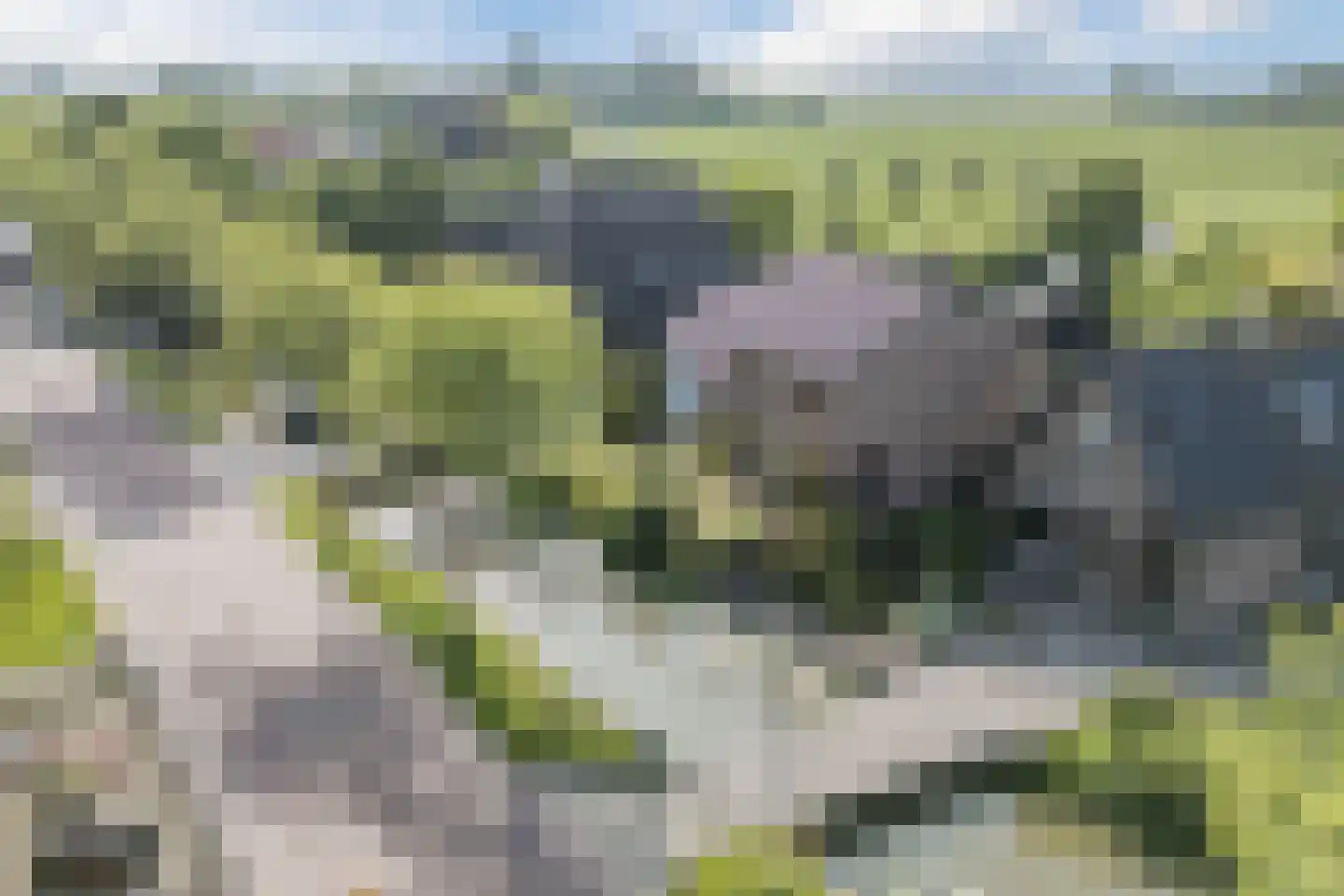 Heerenweg 59 Barsingerhorn thumbnail 4