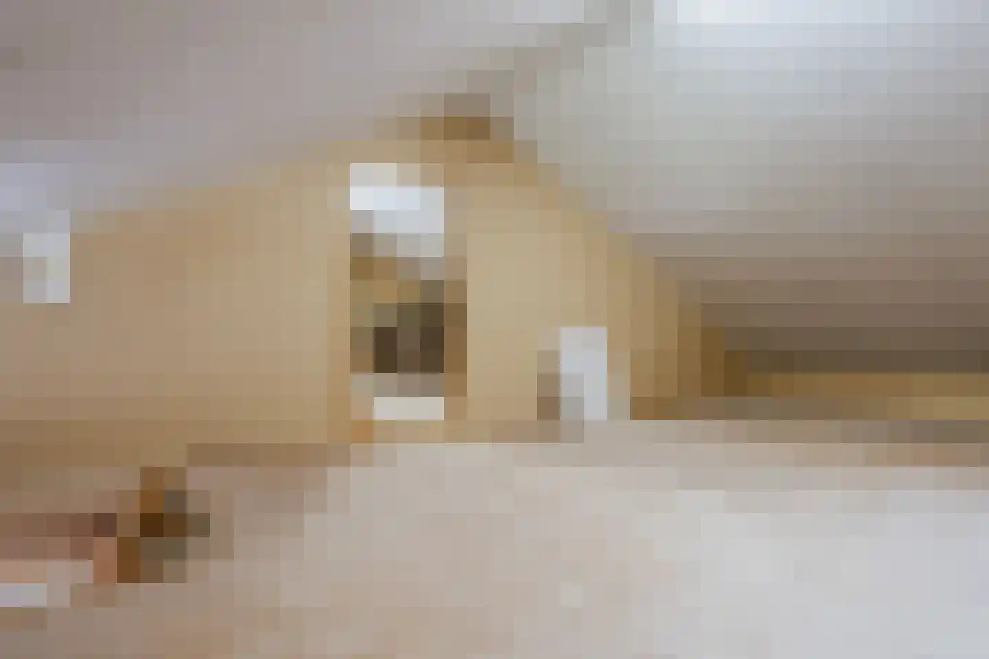 Heerenweg 59 Barsingerhorn thumbnail 46