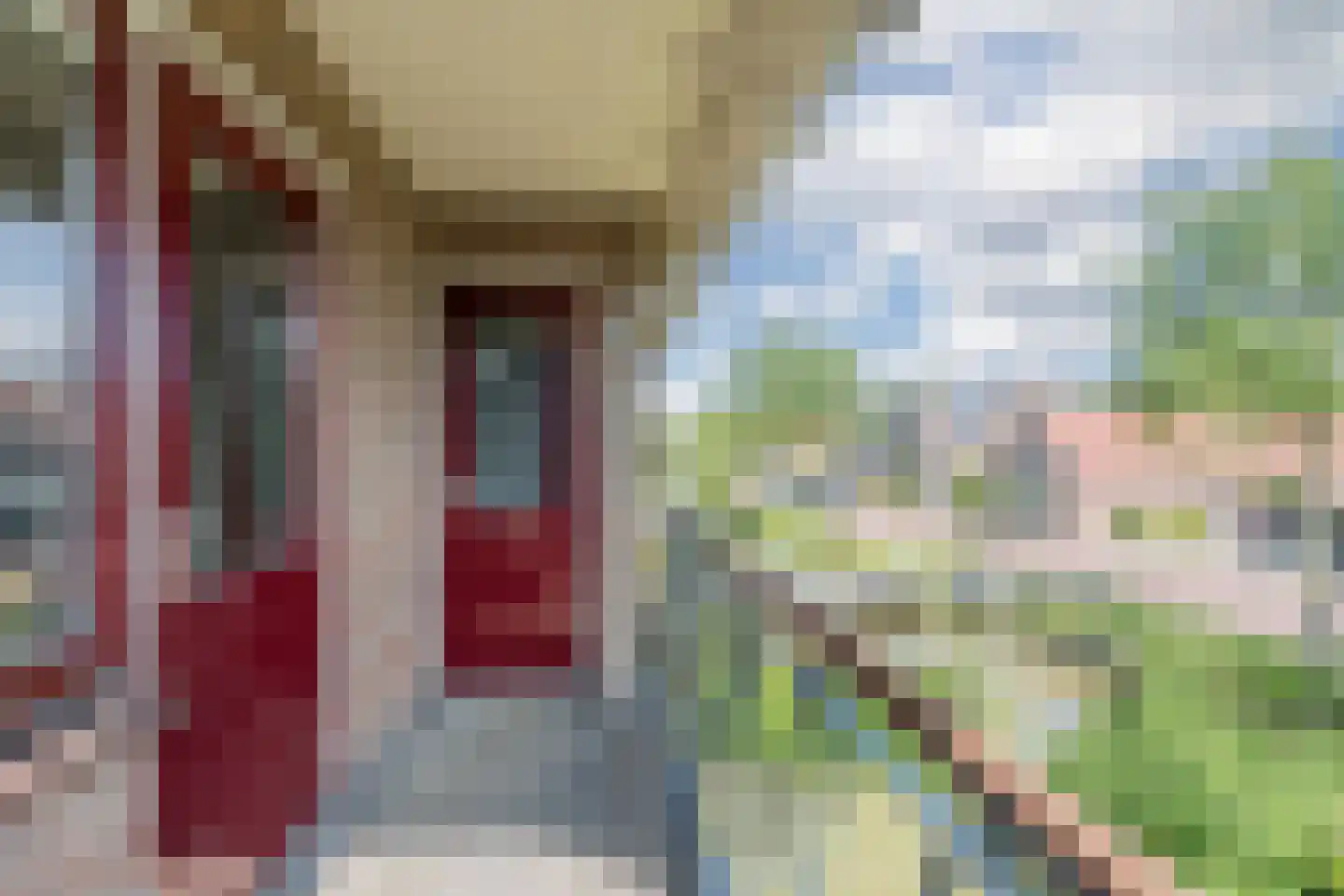 Heerenweg 59 Barsingerhorn thumbnail 49