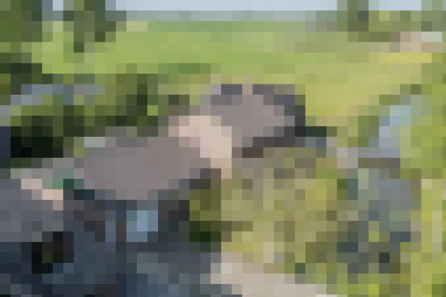 Heerenweg 59 Barsingerhorn thumbnail 5