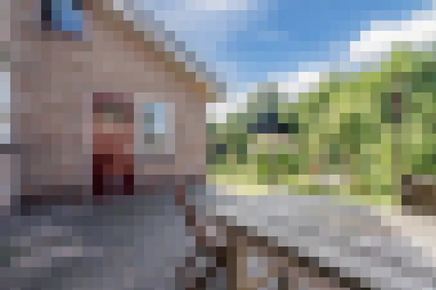 Heerenweg 59 Barsingerhorn thumbnail 56