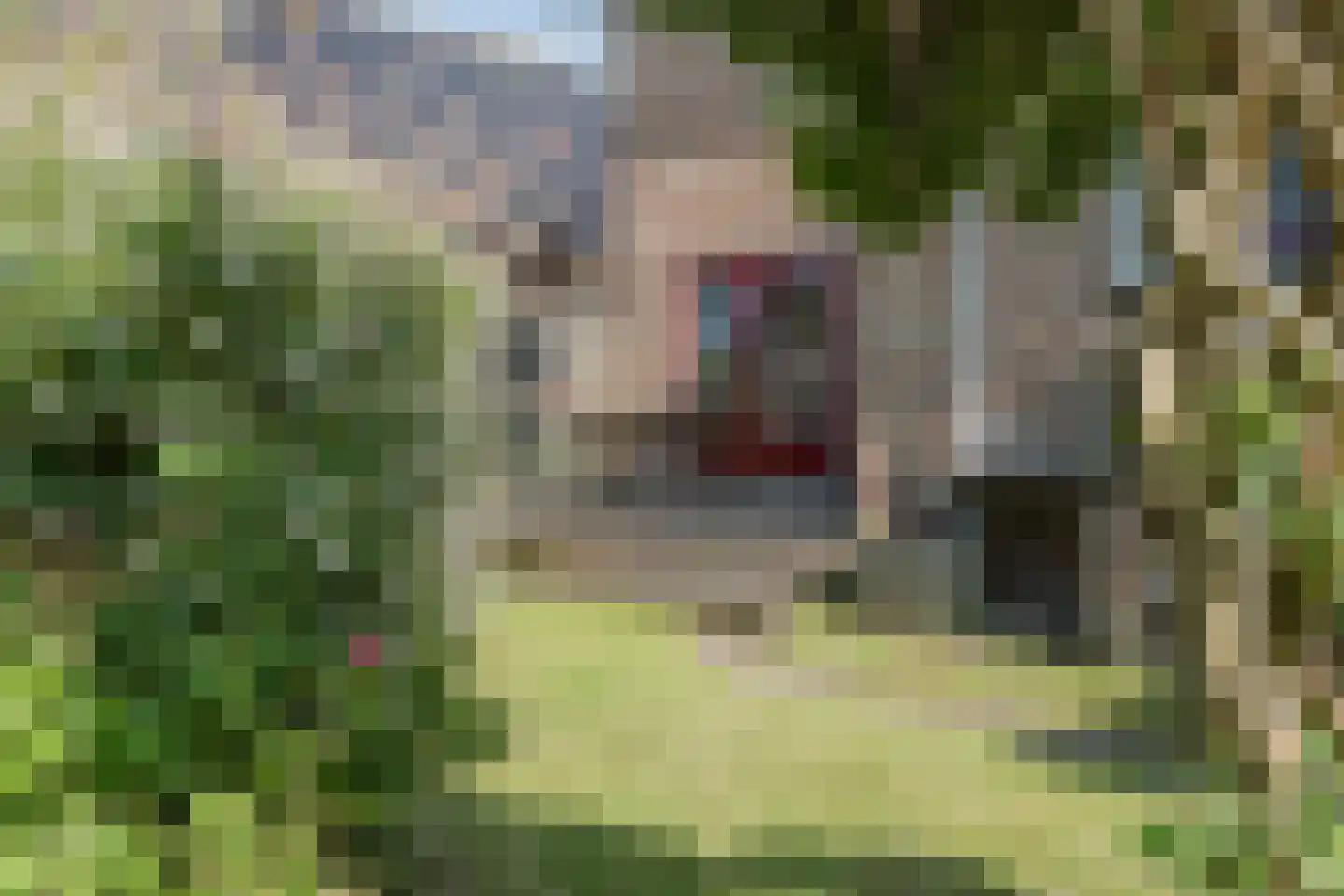 Heerenweg 59 Barsingerhorn thumbnail 64