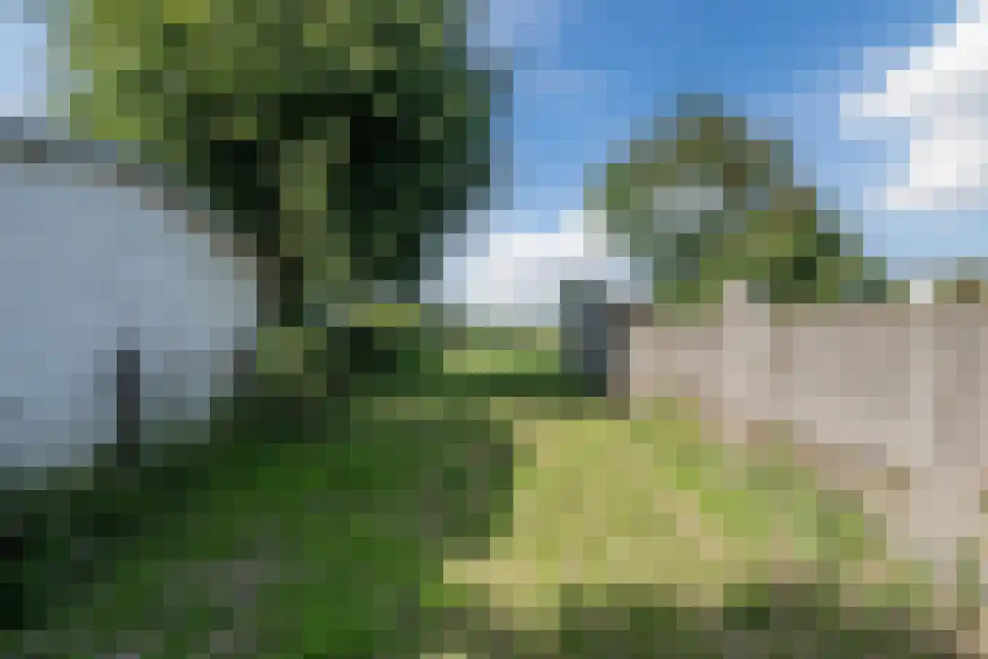 Heerenweg 59 Barsingerhorn thumbnail 66