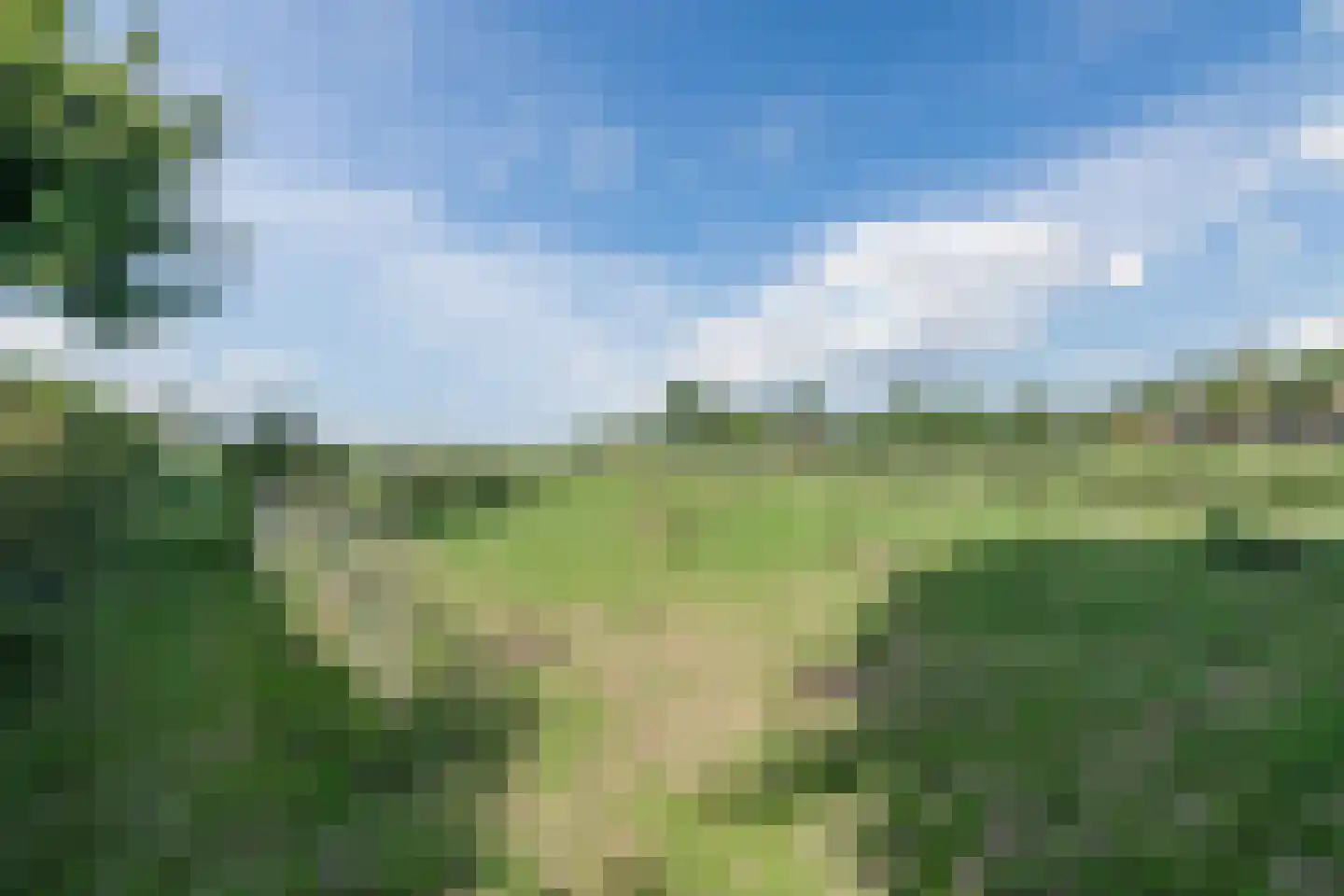 Heerenweg 59 Barsingerhorn thumbnail 67