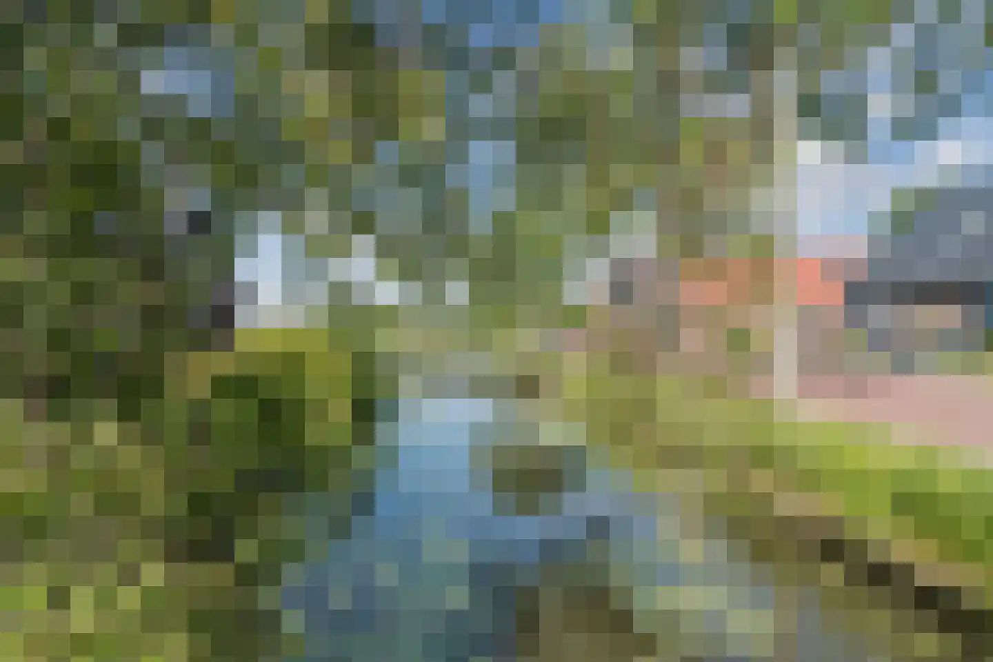 Heerenweg 59 Barsingerhorn thumbnail 69