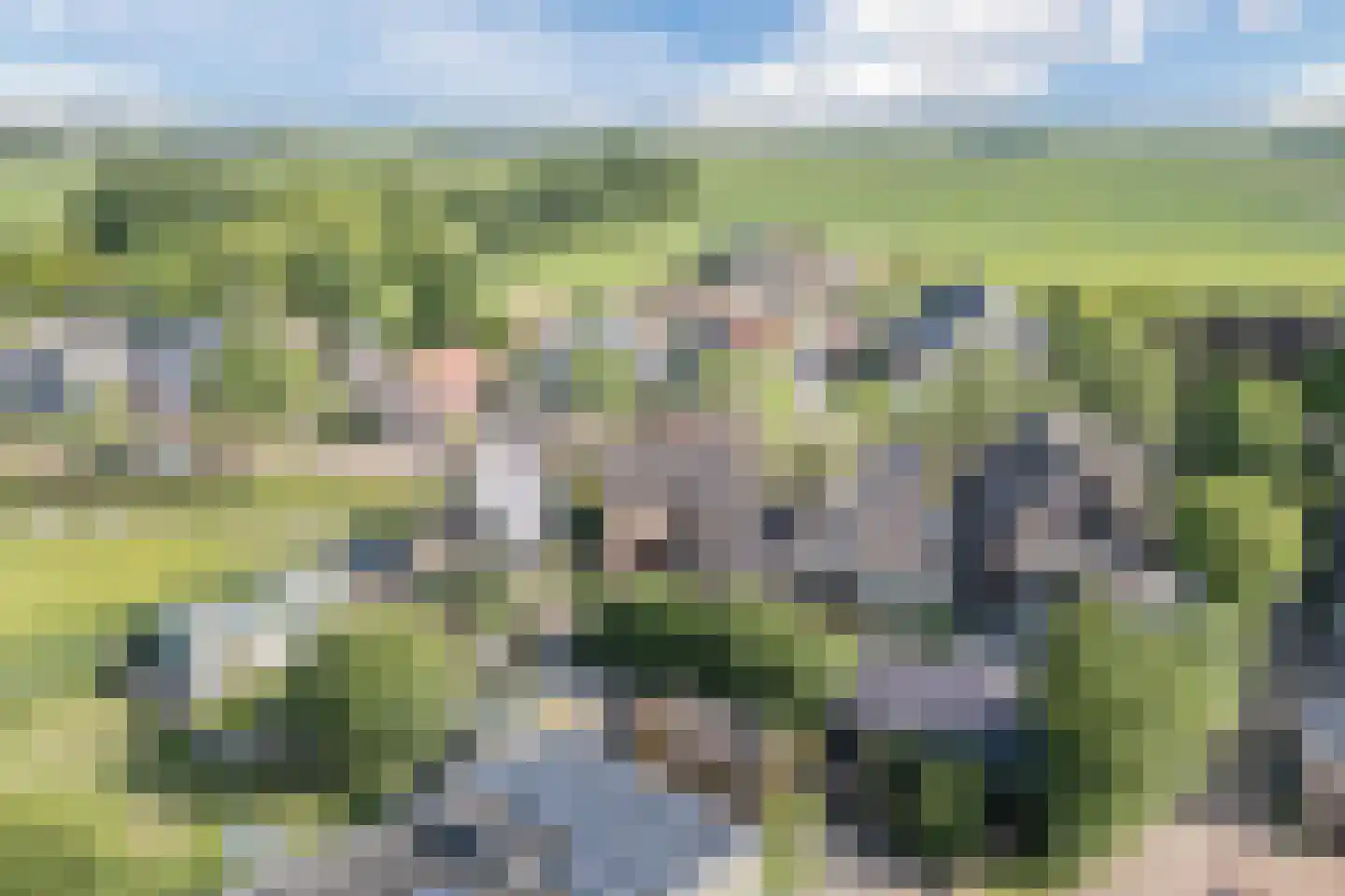 Heerenweg 59 Barsingerhorn thumbnail 70