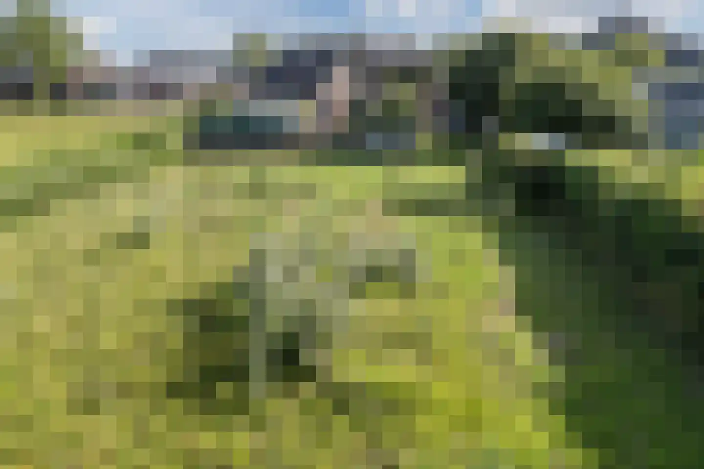 Heerenweg 59 Barsingerhorn thumbnail 72
