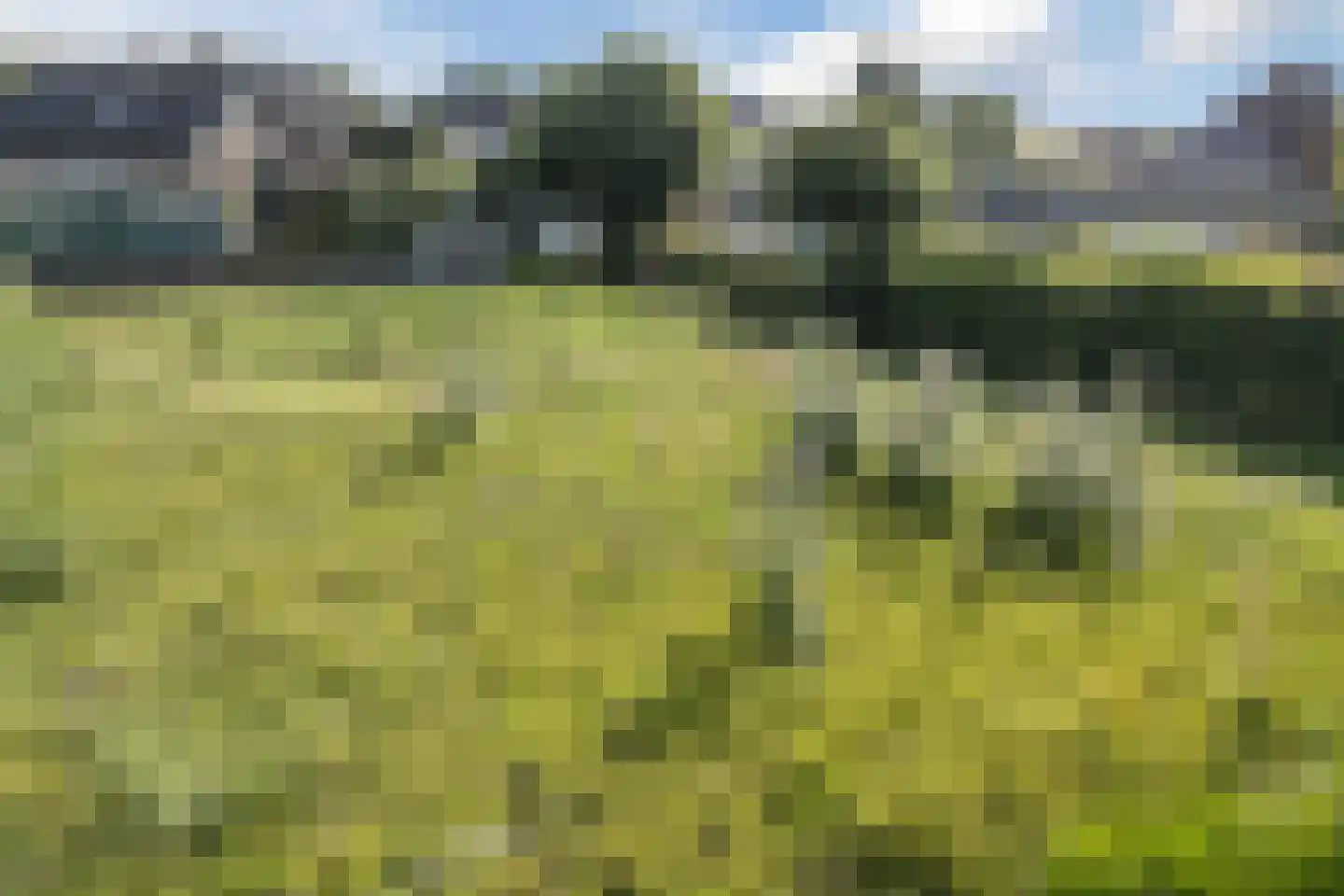 Heerenweg 59 Barsingerhorn thumbnail 73