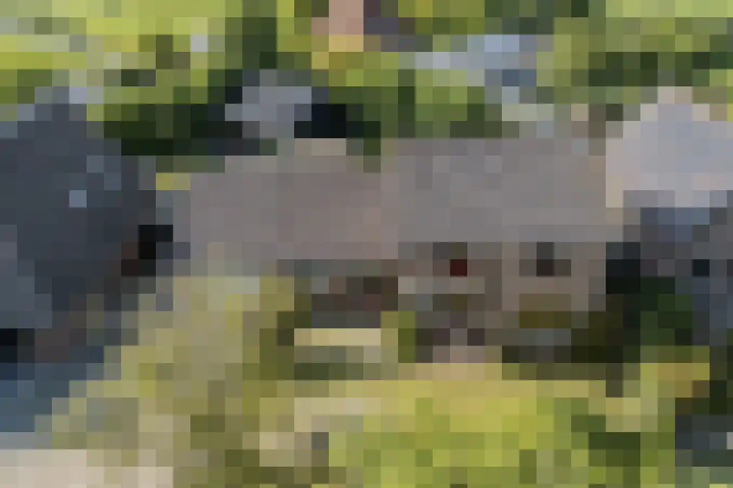 Heerenweg 59 Barsingerhorn thumbnail 74