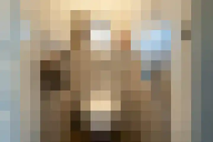 Heerenweg 7 Rijnsburg thumbnail 16