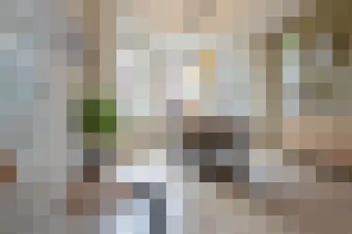 Heerenweg 7 Rijnsburg thumbnail 9