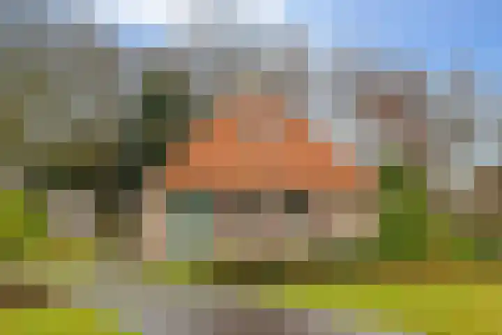 Heerenweg 72 17 IJhorst thumbnail 34