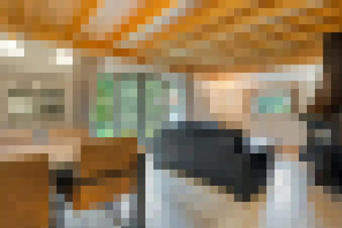Heerenweg 72 20 IJhorst thumbnail 9