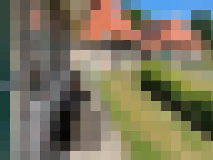 Heerenweg 72 27 IJhorst thumbnail 6