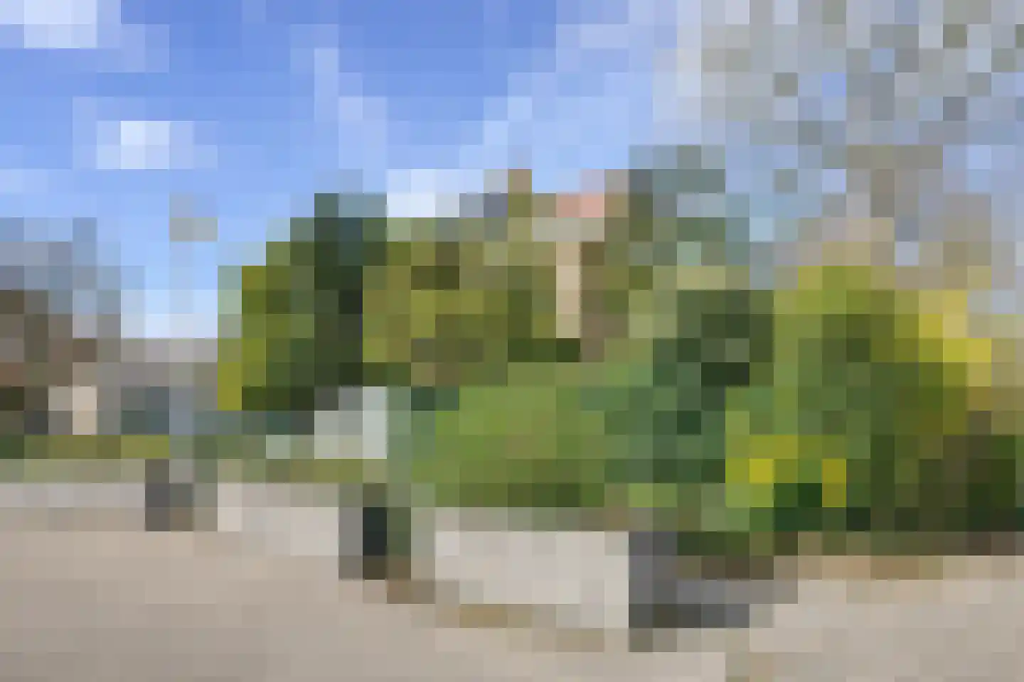Heereplaats 1 Rozenburg thumbnail 16