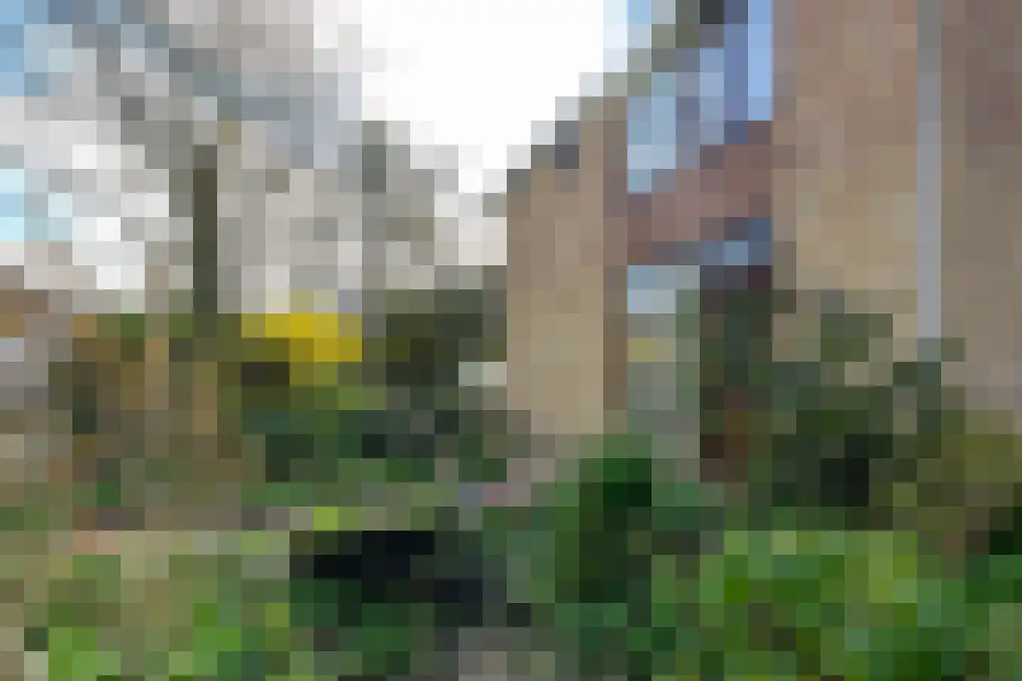 Heereplaats 1 Rozenburg thumbnail 24