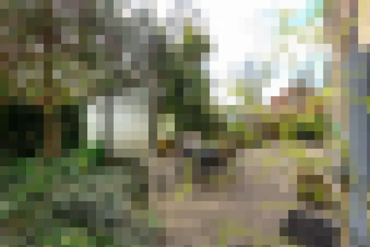 Heereplaats 1 Rozenburg thumbnail 27