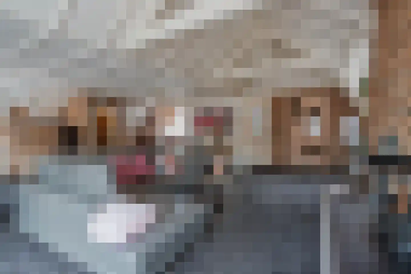 Heereplein 12 Raamsdonksveer thumbnail 12