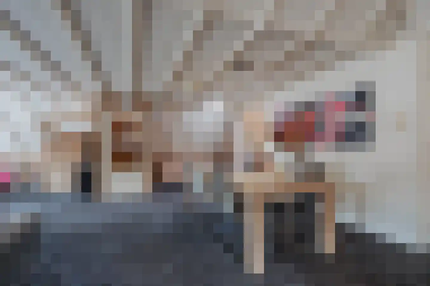 Heereplein 12 Raamsdonksveer thumbnail 13