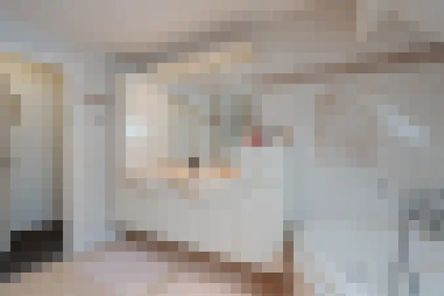 Heereplein 12 Raamsdonksveer thumbnail 35