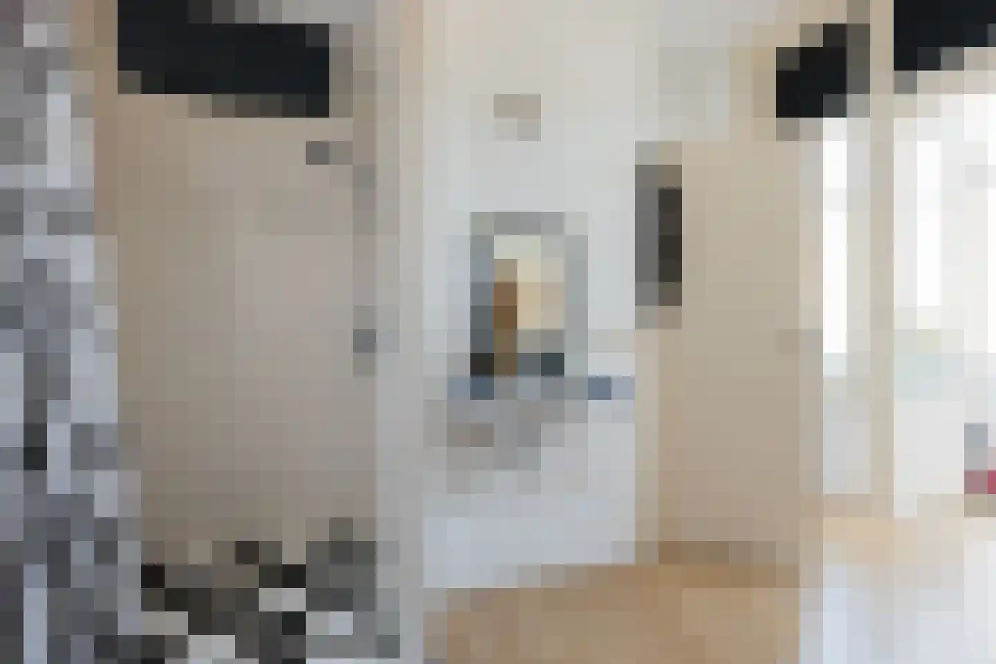 Heerestraat 1 A Baflo thumbnail 24