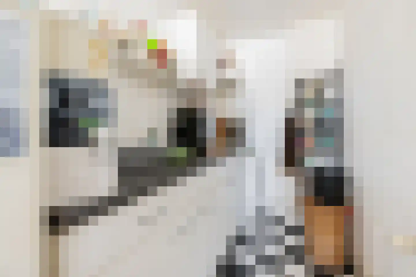 Heerestraat 1 A Baflo thumbnail 28
