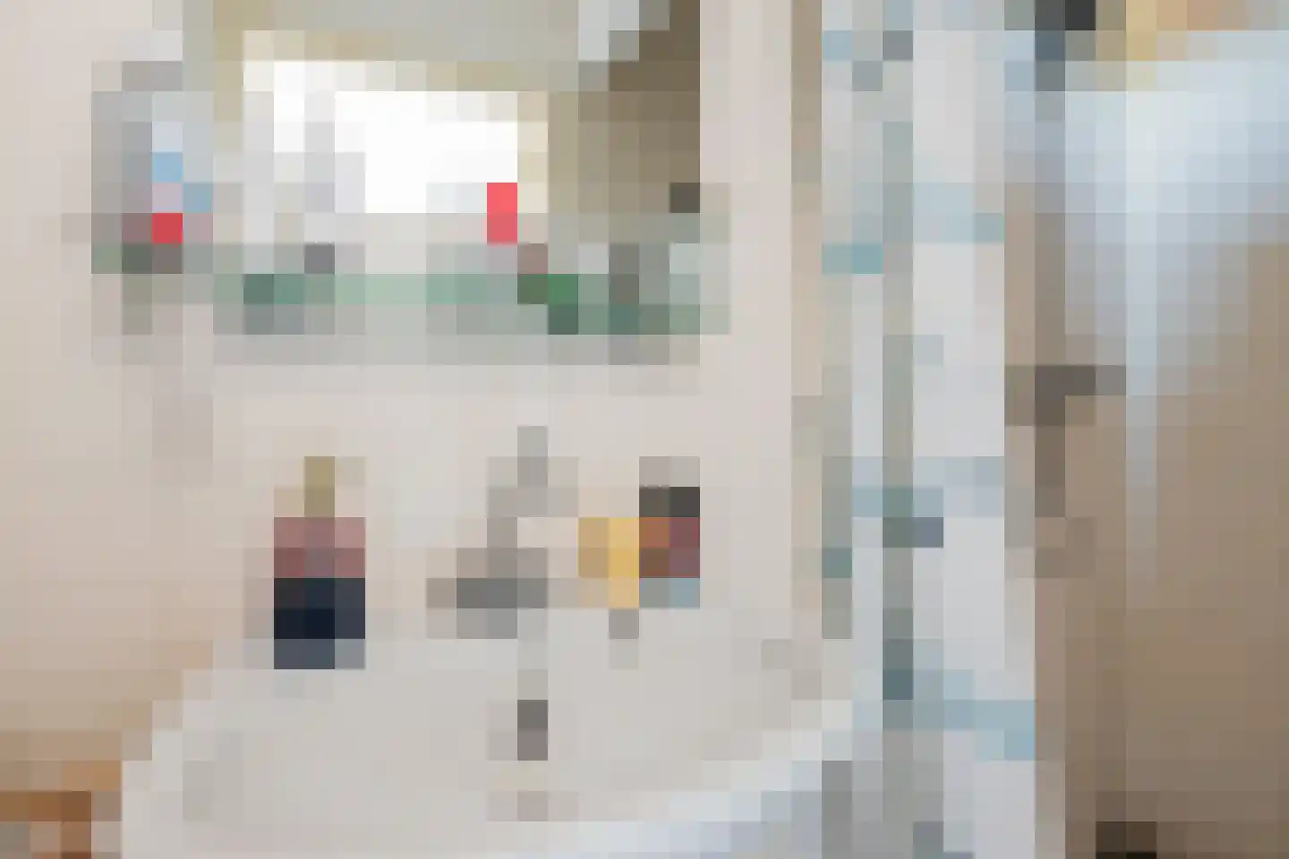 Heerestraat 1 A Baflo thumbnail 36