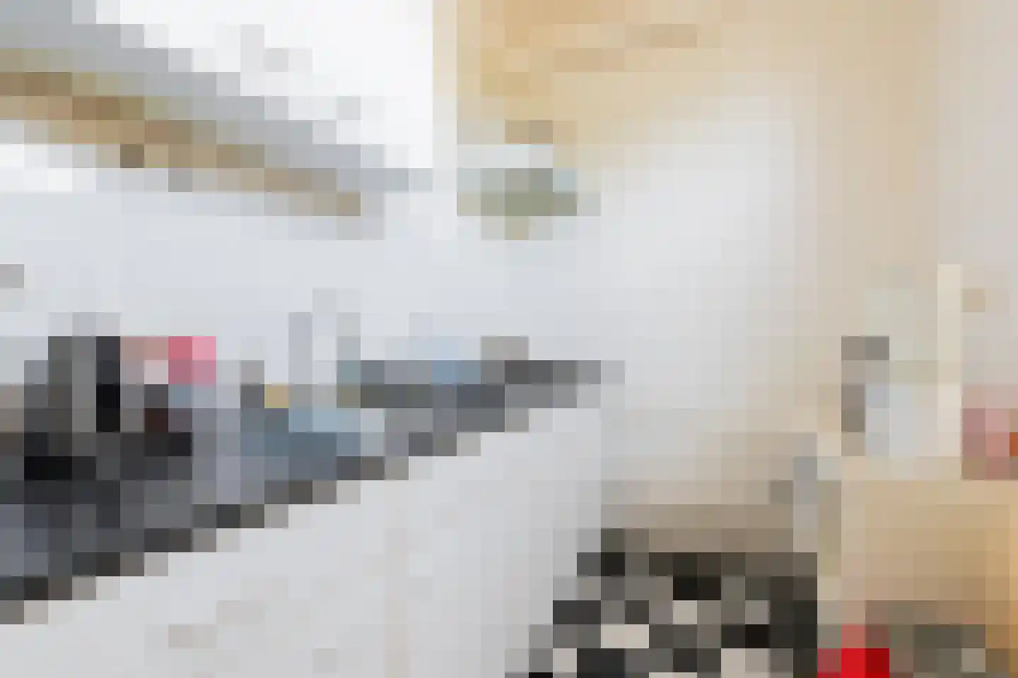 Heerestraat 1 A Baflo thumbnail 42