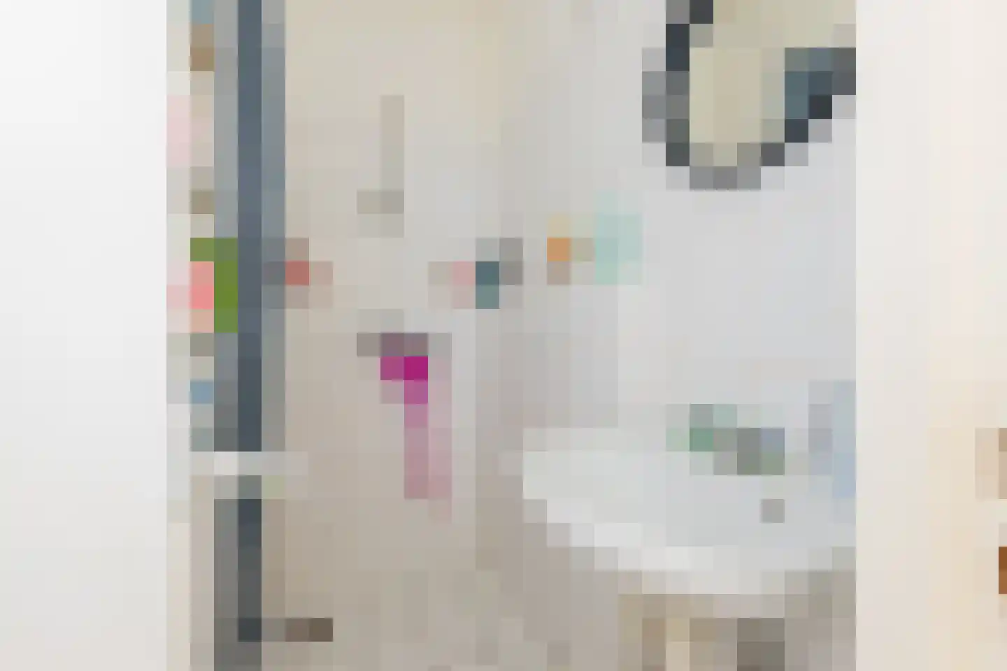 Heerestraat 1 A Baflo thumbnail 45