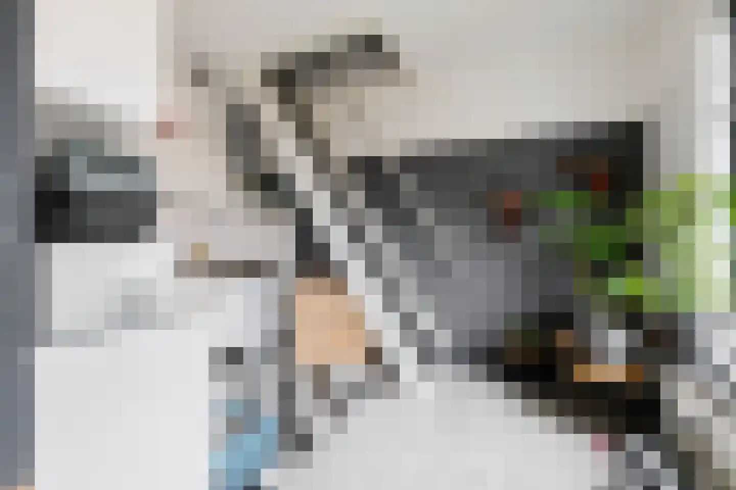 Heerestraat 1 A Baflo thumbnail 50