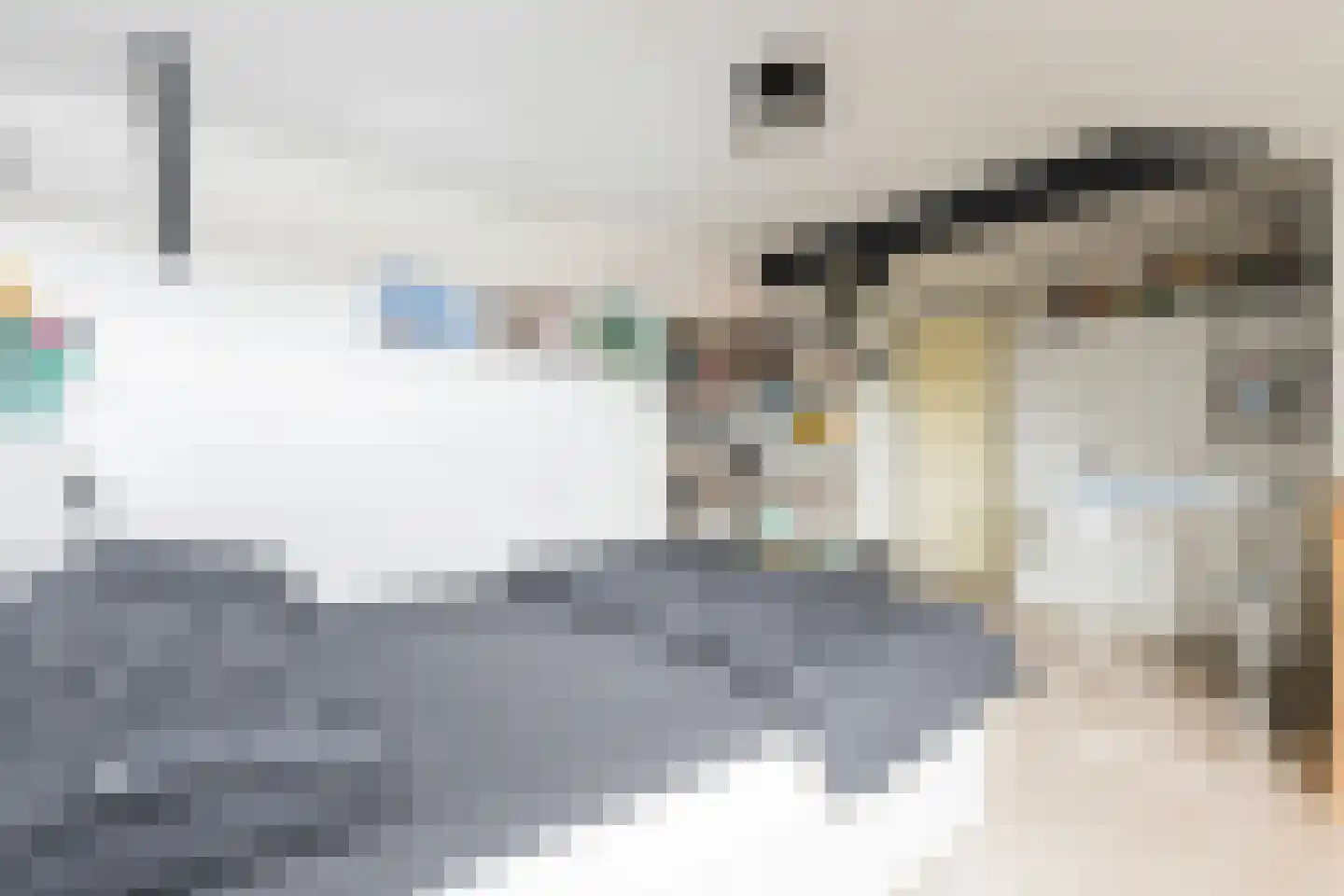 Heerestraat 1 A Baflo thumbnail 52