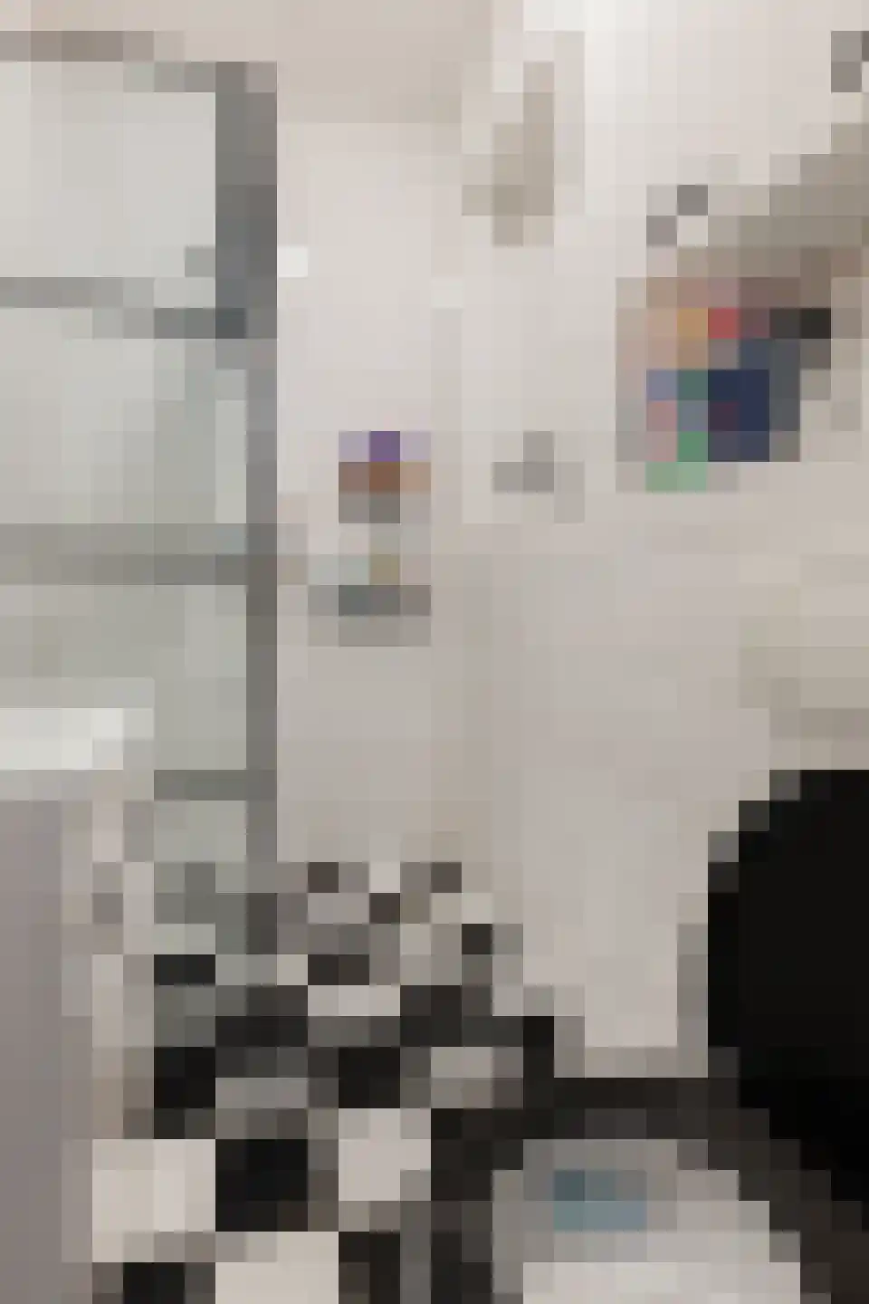 Heerestraat 1 A Baflo thumbnail 53