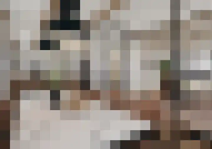 Heerestraat 17 Middelstum thumbnail 38
