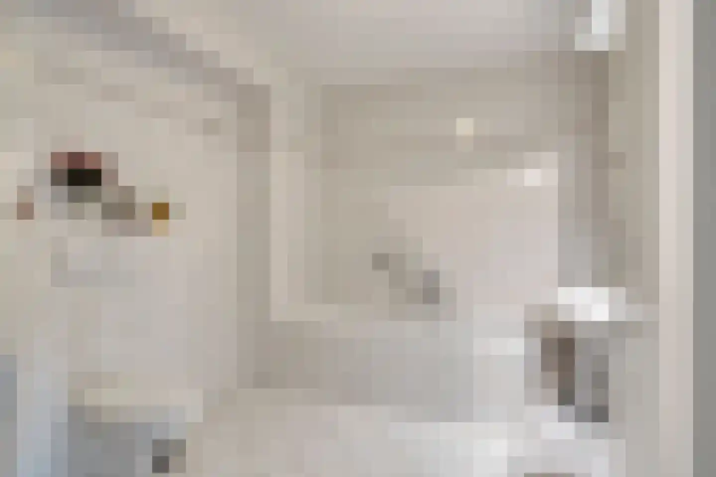Heerestraat 203 Roden thumbnail 22