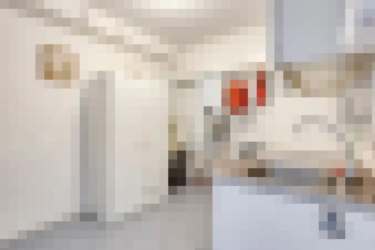 Heerestraat 203 Roden thumbnail 24