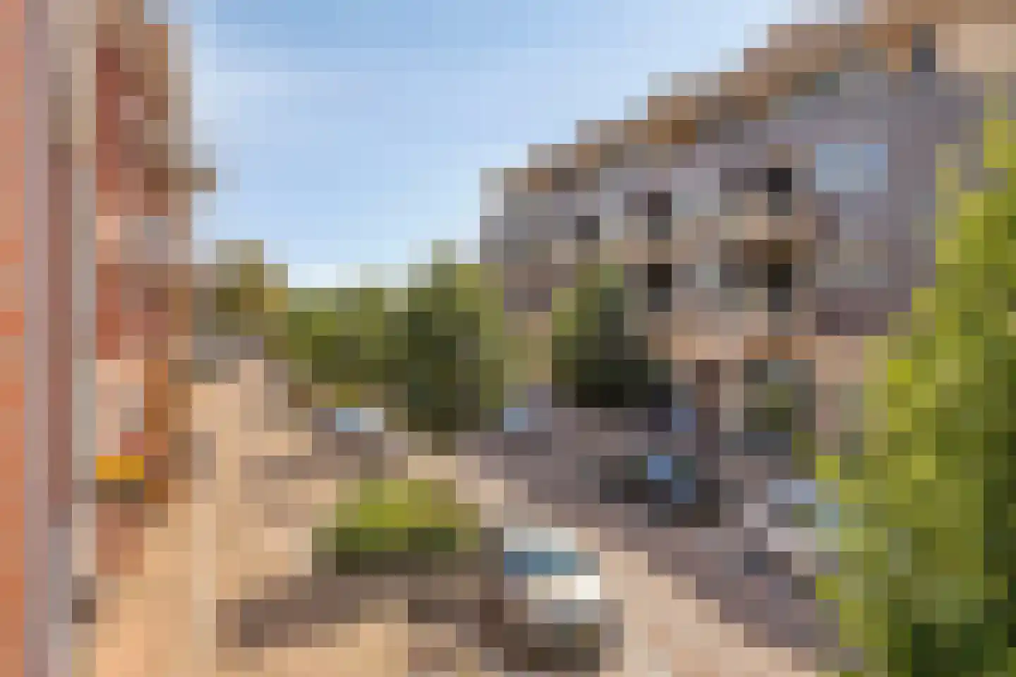 Heerestraat 203 Roden thumbnail 29