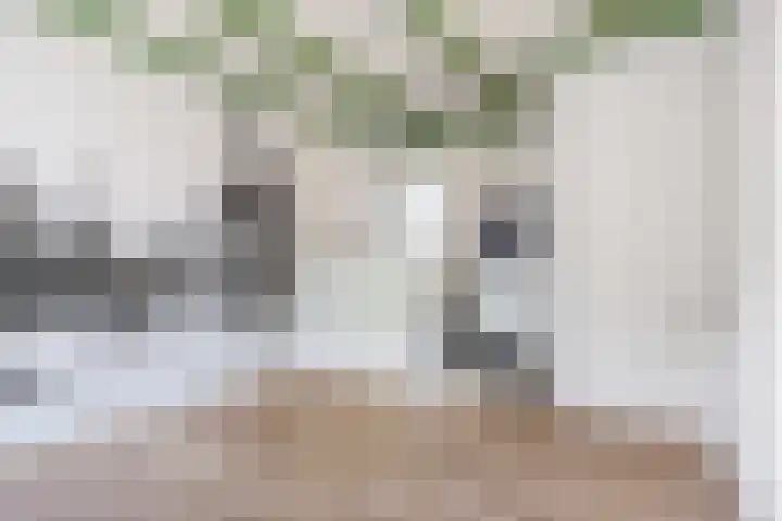 Heerestraat 22 Baflo thumbnail 12
