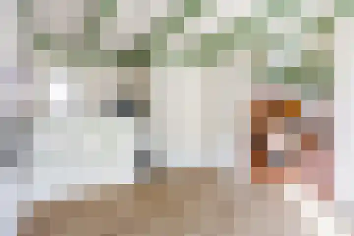 Heerestraat 22 Baflo thumbnail 13