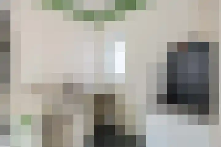 Heerestraat 22 Baflo thumbnail 14