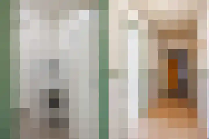Heerestraat 22 Baflo thumbnail 17
