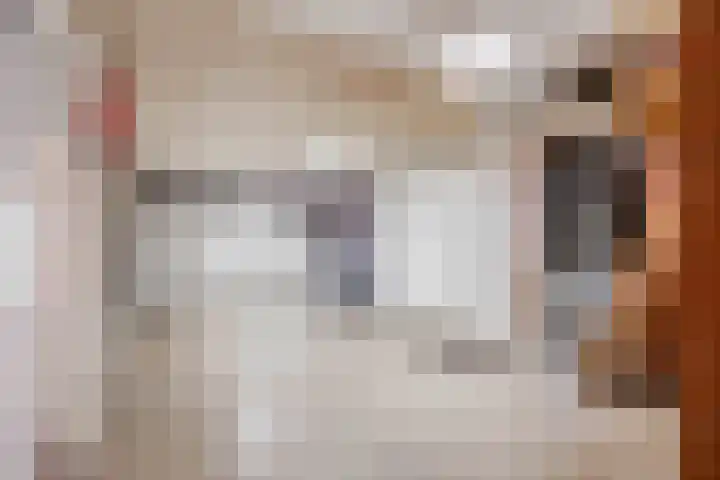 Heerestraat 22 Baflo thumbnail 26