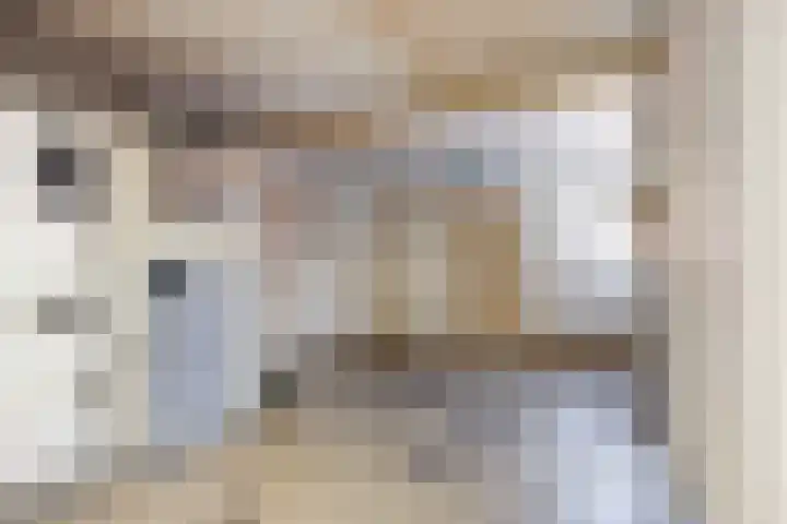 Heerestraat 22 Baflo thumbnail 30