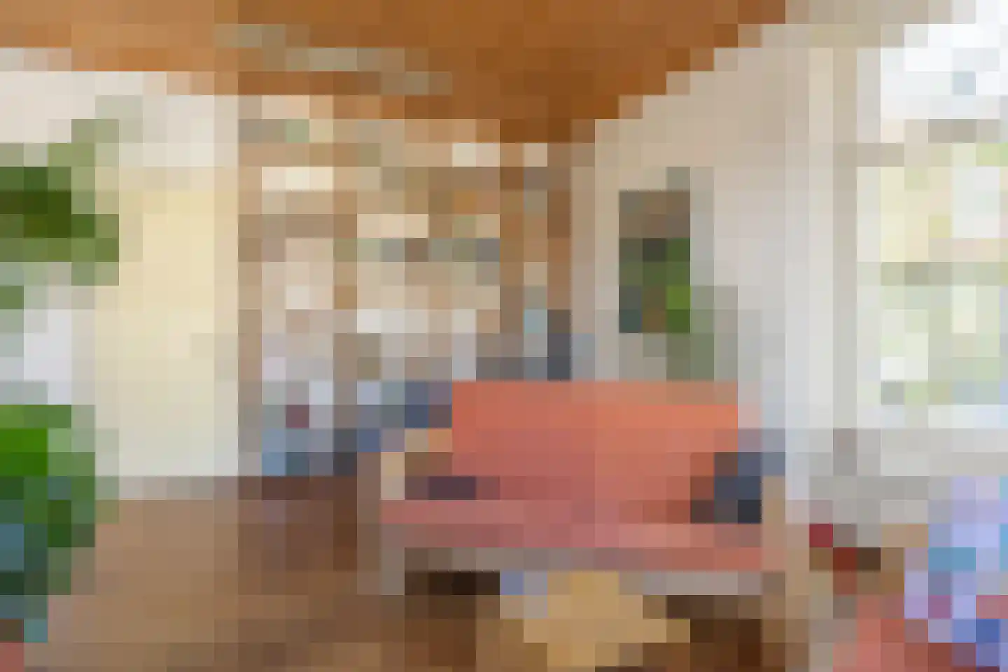 Heerestraat 23 Baflo thumbnail 10