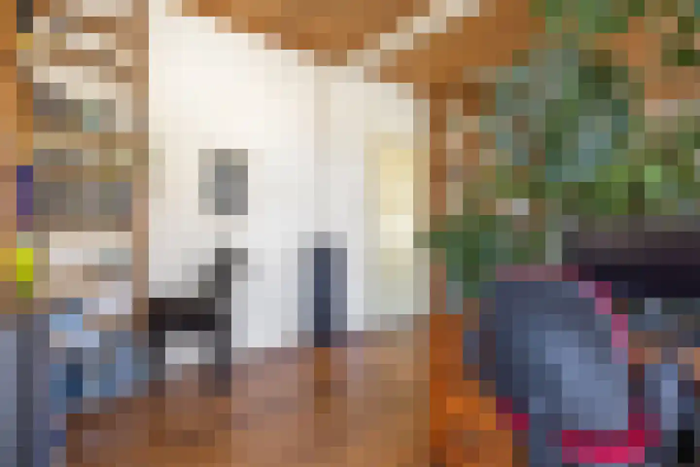 Heerestraat 23 Baflo thumbnail 14
