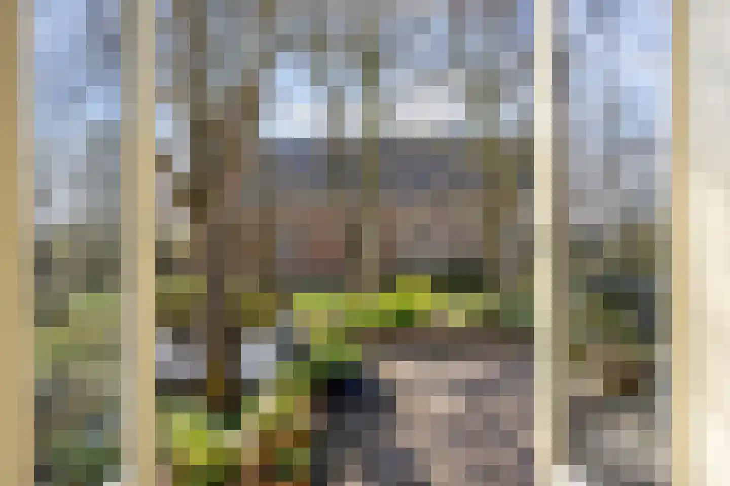 Heerestraat 23 Baflo thumbnail 44